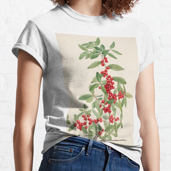 Yaupon Holly Vintage Botanical Print Classic T-Shirt