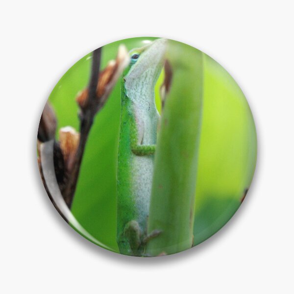 Item preview, Green Anole Lizard designed and sold by HisRuin.