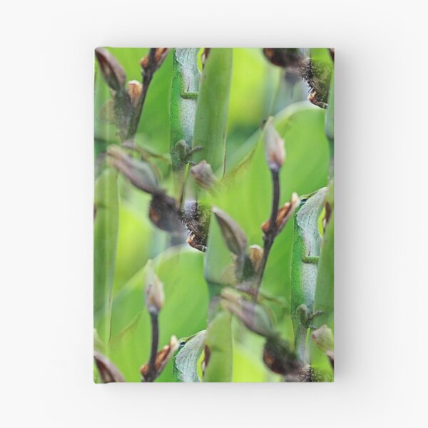 Item preview, Green Anole Lizard designed and sold by HisRuin.