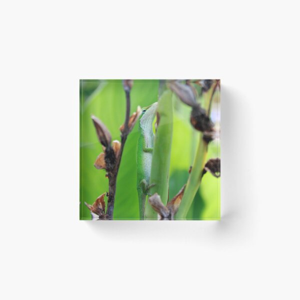 Item preview, Green Anole Lizard designed and sold by HisRuin.