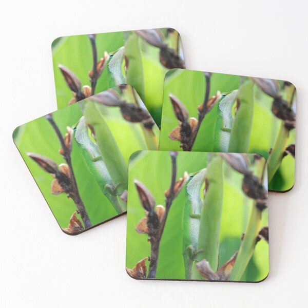 Item preview, Green Anole Lizard designed and sold by HisRuin.
