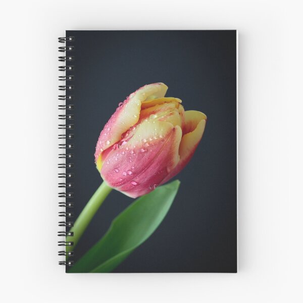 Item preview, An Early Spring designed and sold by Robert Kelch, M.D..