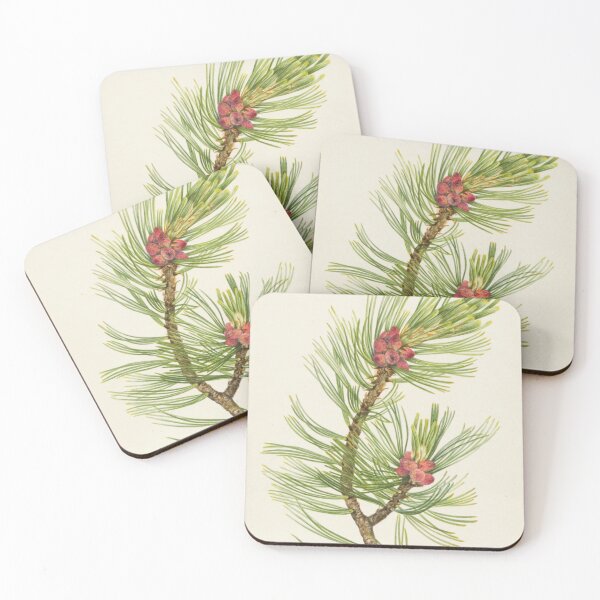 Item preview, Whitebark Pine (Pinus albicaulis) designed and sold by Vintage Wall Art.