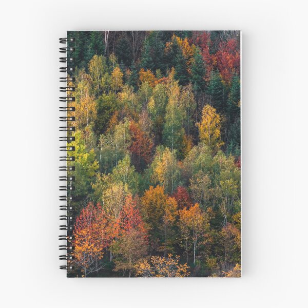 Item preview, A drone rises above a multi-colored valley in the Vosges.  designed and sold by Alexander Sorokopud.