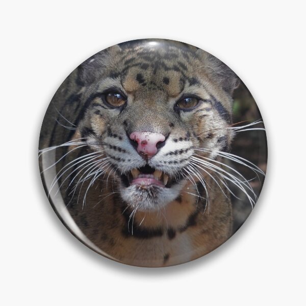 Item preview, Clouded Leopard - Neofelis Nebulosa designed and sold by Mark Tiller.