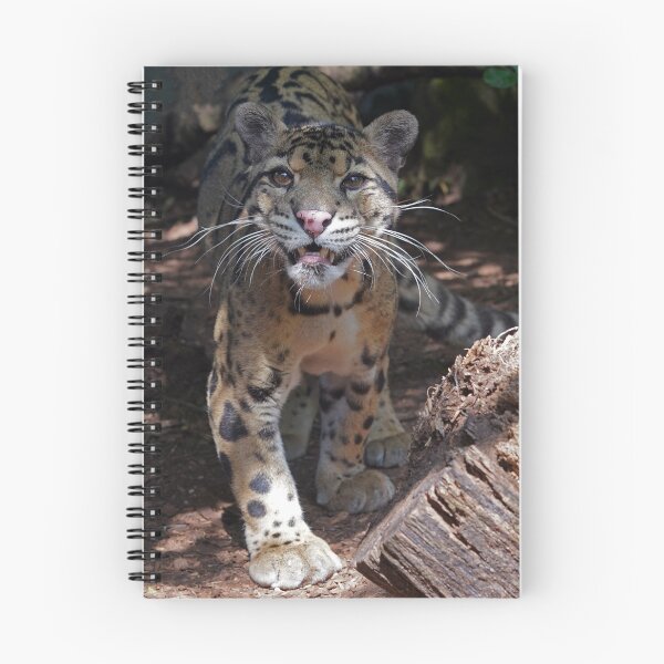 Item preview, Clouded Leopard - Neofelis Nebulosa designed and sold by Mark Tiller.
