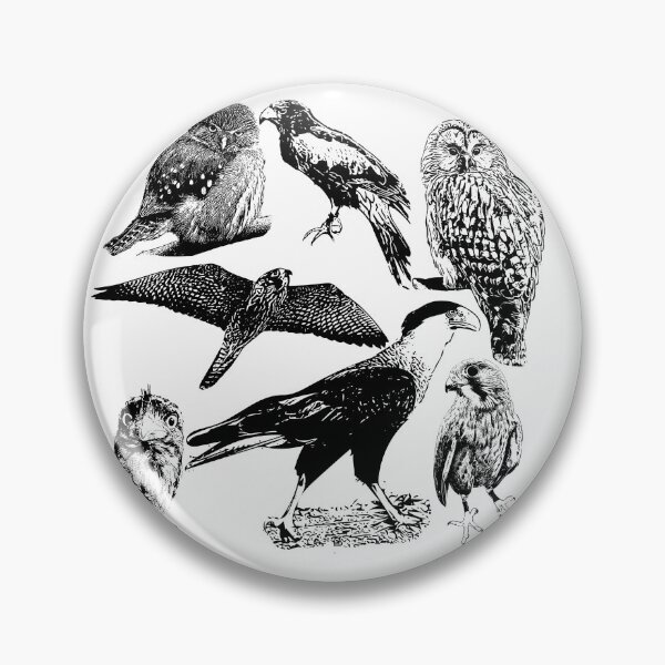Item preview, Predatory Bird Collage designed and sold by megcw.