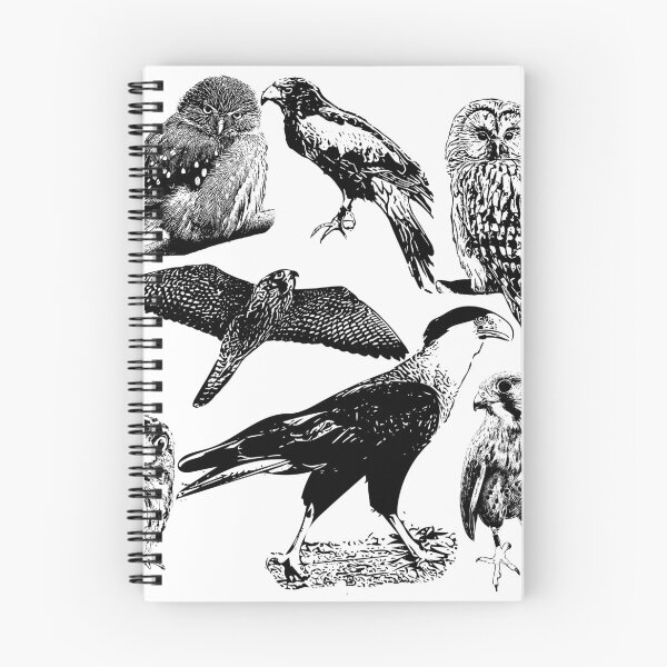 Item preview, Predatory Bird Collage designed and sold by megcw.