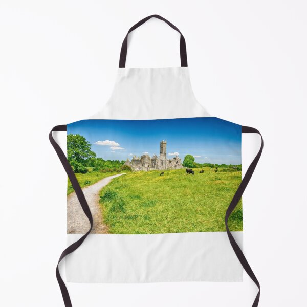 Item preview, Quin Abbey County Clare Ireland designed and sold by Nollaig Ó Mórdha Up The Banner Photography.