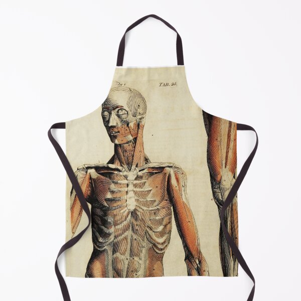 Item preview, Vintage Anatomical art muscles and bones designed and sold by Vintage Designs +.