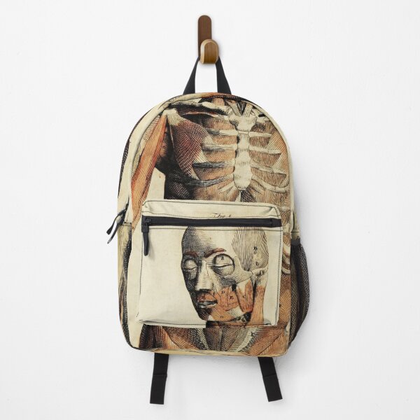 Item preview, Vintage Anatomical art muscles and bones designed and sold by Vintage Designs +.