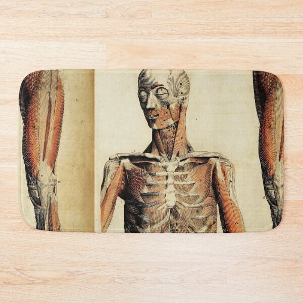 Item preview, Vintage Anatomical art muscles and bones designed and sold by Vintage Designs +.
