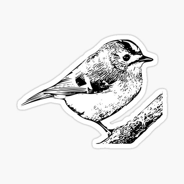 Item preview, Gold crest bird  designed and sold by megcw.