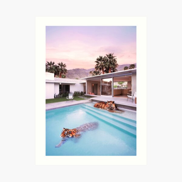 Palm Springs Tigers Art Print