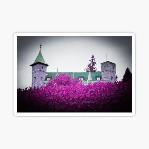 Item preview, Castle & Vines / Swiss Artwork Photography designed and sold by Raphael Wolf.