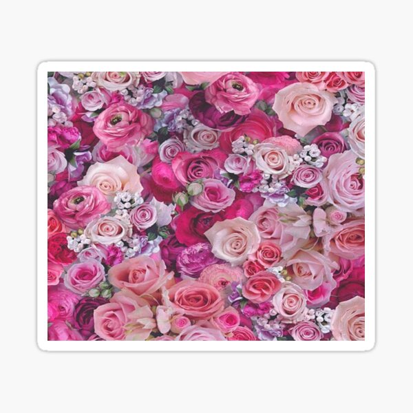 Romantic Pink Roses Sticker For Sale By Engykhalil Redbubble 0118