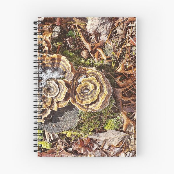 Aperçu de l'œuvre Champignon de l'arbre d'hiver créée et vendue par denise romano.