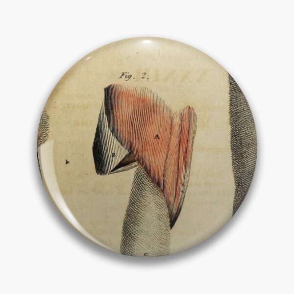 Item preview, Vintage Anatomical art human limbs designed and sold by Vintage Designs +.