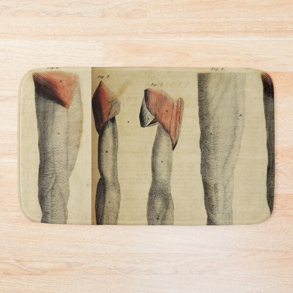 Item preview, Vintage Anatomical art human limbs designed and sold by Vintage Designs +.