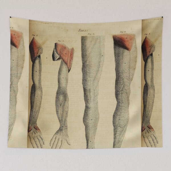 Item preview, Vintage Anatomical art human limbs designed and sold by Vintage Designs +.