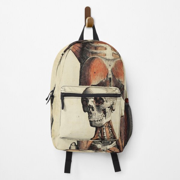Item preview,  Vintage Anatomical art muscles and skeleton designed and sold by Vintage Designs +.