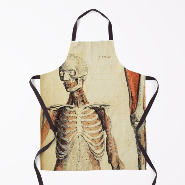Item preview, Vintage Anatomical art muscles and skeleton designed and sold by Vintage Designs +.