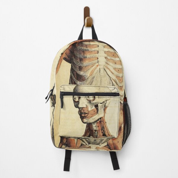 Item preview,  Vintage Anatomical art muscles and skeleton designed and sold by Vintage Designs +.