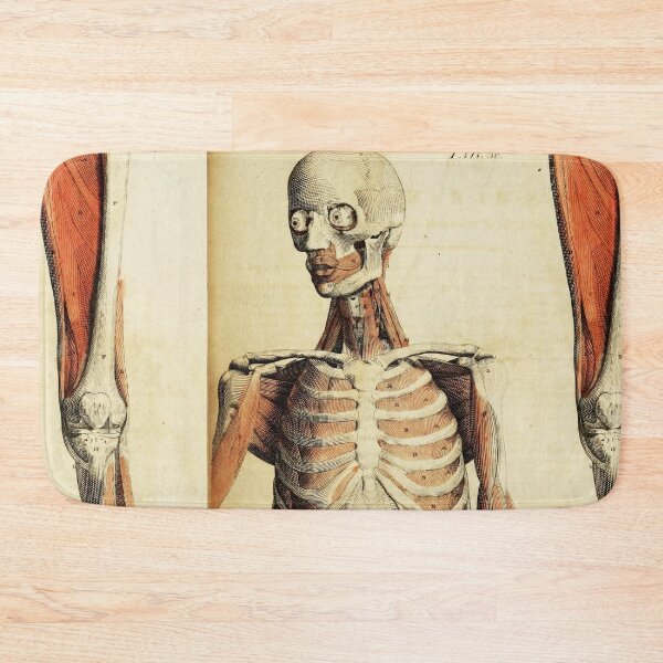 Item preview,  Vintage Anatomical art muscles and skeleton designed and sold by Vintage Designs +.