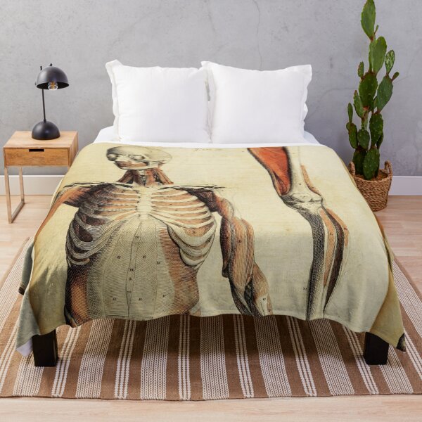 Item preview, Vintage Anatomical art muscles and skeleton designed and sold by Vintage Designs +.