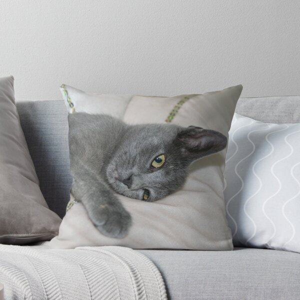 Item preview, Russian Blue Kitten Relaxed On A Bed designed and sold by taiche.