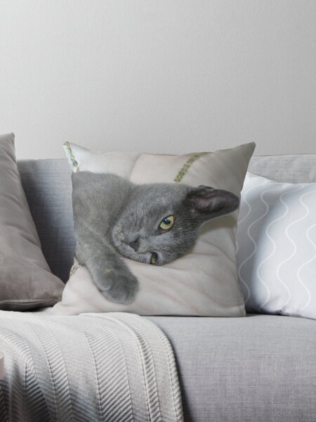 Artikel-Vorschau von Russisch Blau Kätzchen entspannt auf einem Bett, designt und verkauft von taiche.