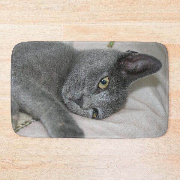 Item preview, Russian Blue Kitten Relaxed On A Bed designed and sold by taiche.
