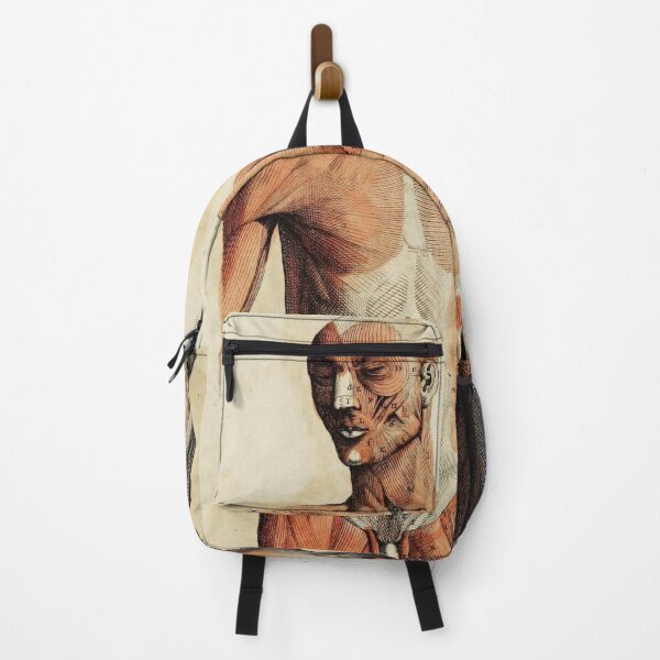 Item preview, Vintage Anatomical art muscles and bones designed and sold by Vintage Designs +.