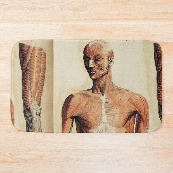 Item preview, Vintage Anatomical art muscles and bones designed and sold by Vintage Designs +.
