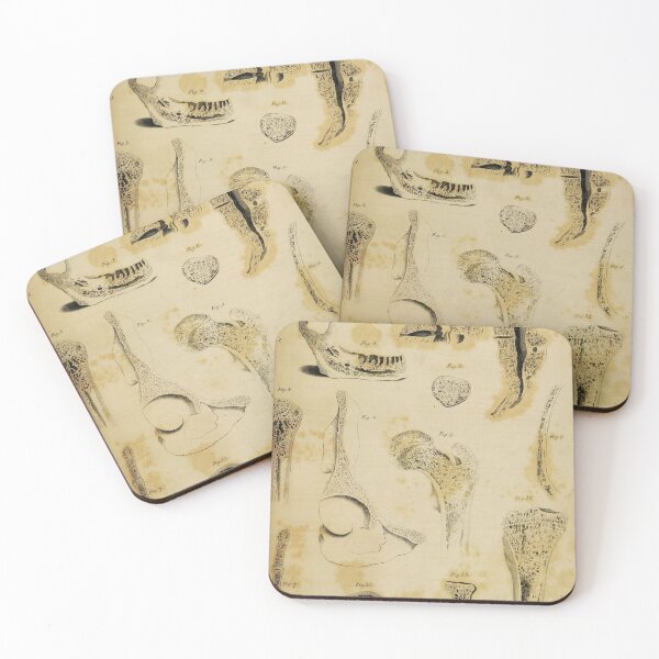 Item preview, Bones anatomical art designed and sold by Vintage Designs +.