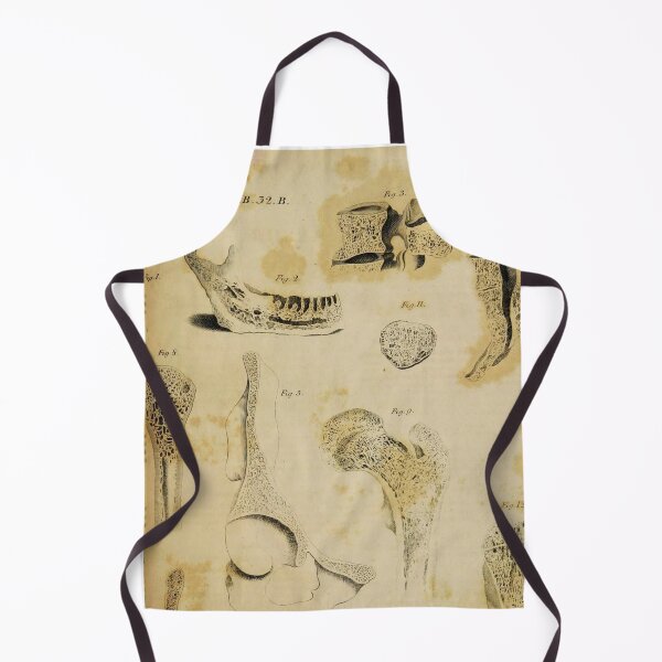 Item preview, Bones anatomical art designed and sold by Vintage Designs +.