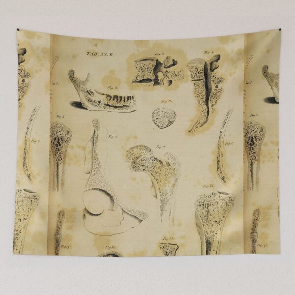 Item preview, Bones anatomical art designed and sold by Vintage Designs +.