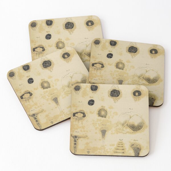 Item preview, Bones anatomical art designed and sold by Vintage Designs +.