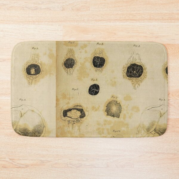 Item preview, Bones anatomical art designed and sold by Vintage Designs +.