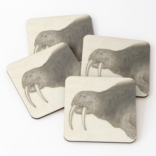 Item preview, Vintage Walrus Illustration 16th Century designed and sold by Vintage Wall Art.
