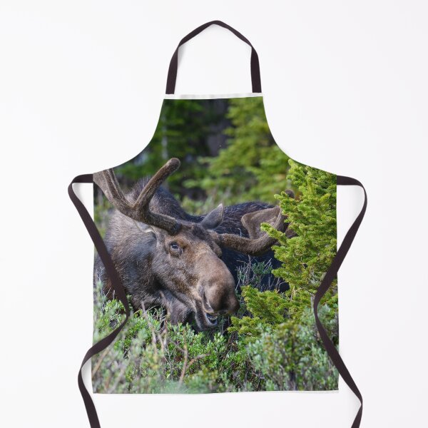 Item preview, Smile for the Camera designed and sold by Greg Birkett.