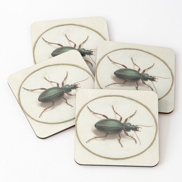 Item preview, Golden Ground Beetle, 17th Century Illustration designed and sold by Vintage Wall Art.