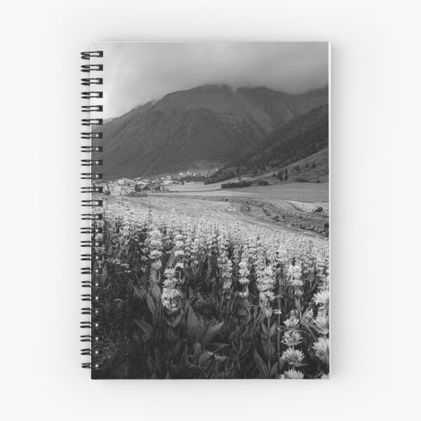 Item preview, Alpine summer, Austria designed and sold by PeterCseke.