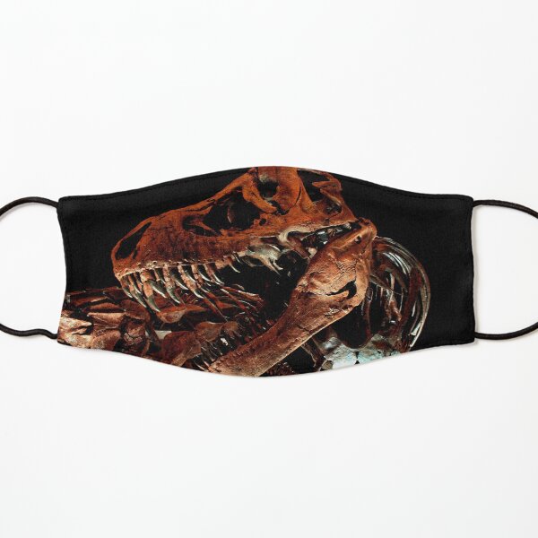 Houston Museum of Natural Science Kids Mask
