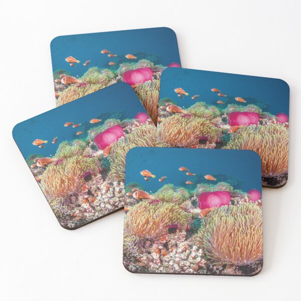 Item preview, Anemone fish in Maldives designed and sold by Jose Antonio  Castellano Garrido.