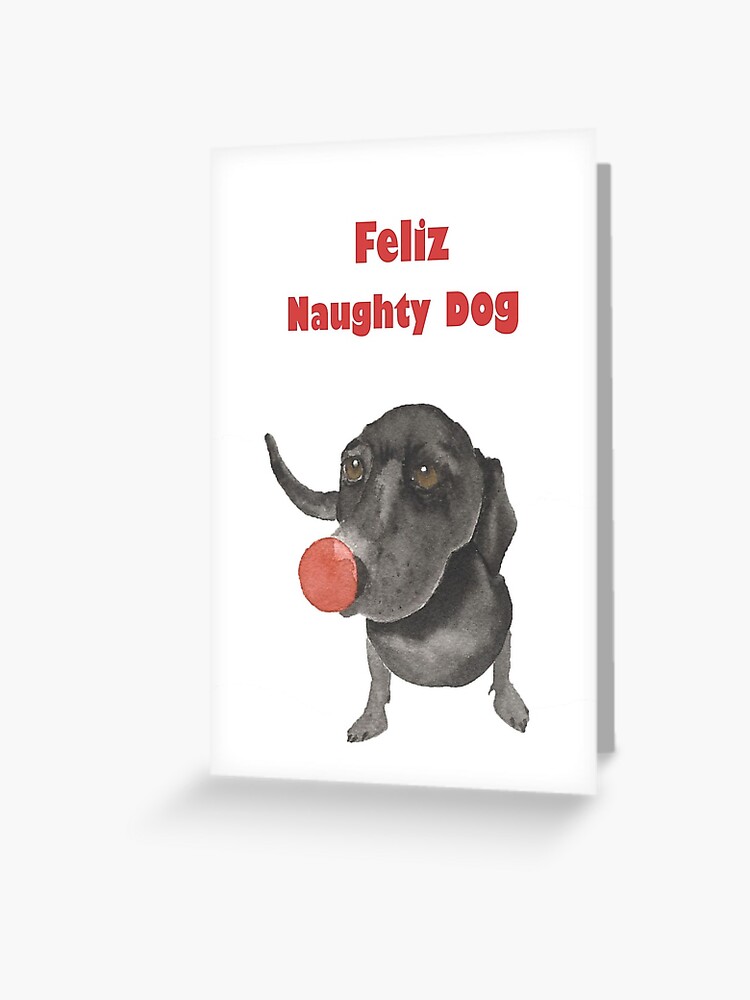 Feliz Naughty Dog