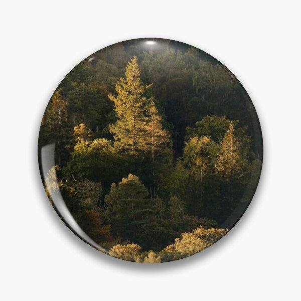 Item preview, Autumn woodland in golden morning sunlight designed and sold by Chris McIlreavy.