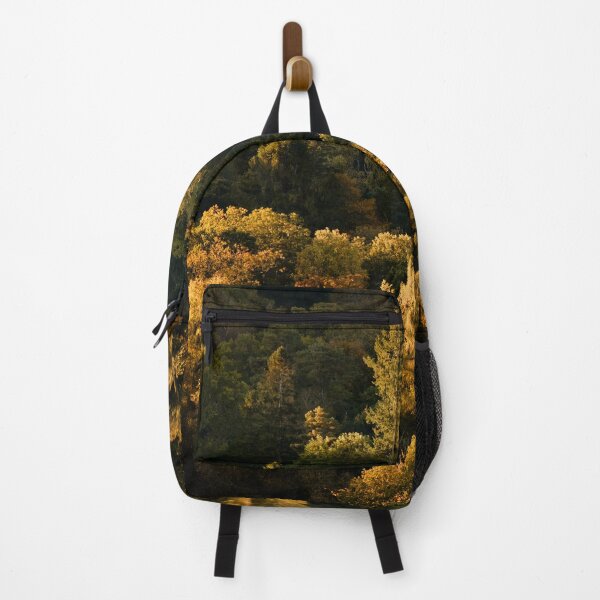 Item preview, Autumn woodland in golden morning sunlight designed and sold by Chris McIlreavy.