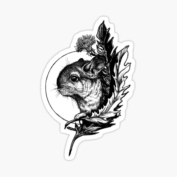 Tattoo uploaded by Tattoodo • Chinchilla by Becca Genné-Bacon  #beccagennebacon #realistic #traditional #mashup #chinchilla #rose #text  #banner #font #eternal #nature #flower #animal #tattoooftheday • Tattoodo