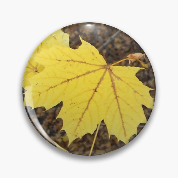 Item preview, Golden Yellow Maple Leaves designed and sold by MarjorieB.